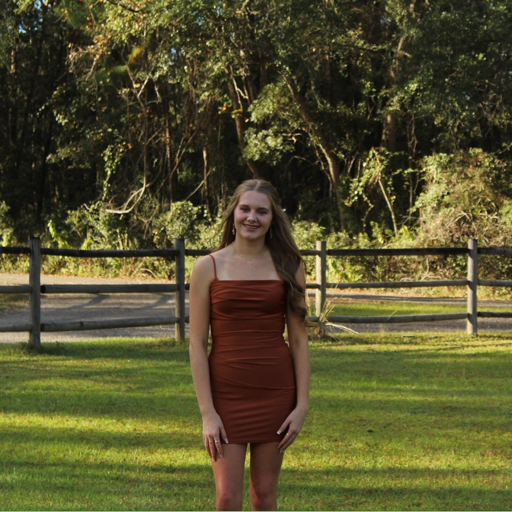 Elegant Brown Women's Dress